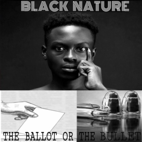 The Ballot or the Bullet | Boomplay Music