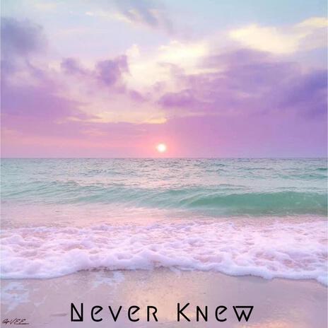 Never Knew | Boomplay Music