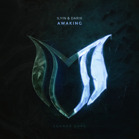 Awaking ft. DARIX | Boomplay Music