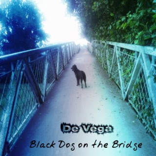 Black Dog on the Bridge