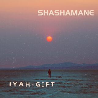 Shashamane