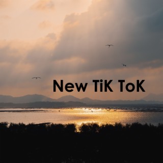 New TiK ToK