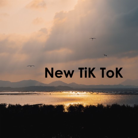 New TiK ToK | Boomplay Music