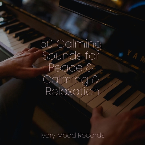 Melancholy Mist Mosaic ft. Musica Romantica Ensemble & Meditation Awareness | Boomplay Music