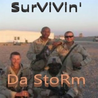 Survivin' Da Storm