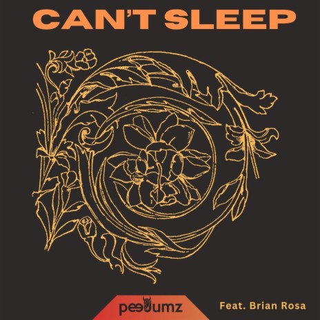 CAN'T SLEEP ft. Brian Rosa