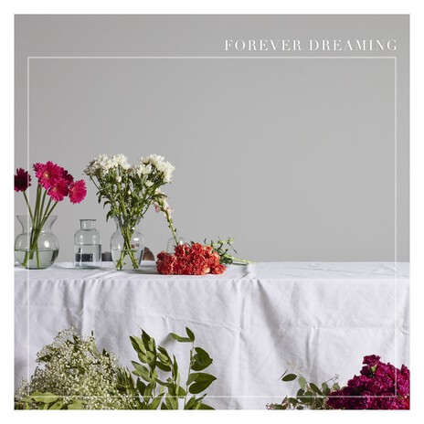 Forever Dreaming | Boomplay Music