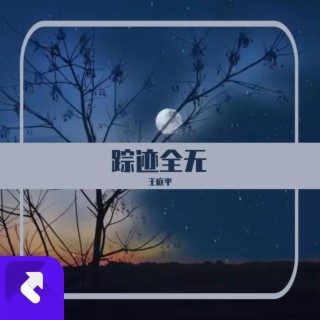 蹤跡全無 lyrics | Boomplay Music