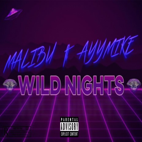 Wild Nights (feat. AyyMike) | Boomplay Music