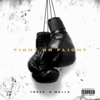 Fight or Flight