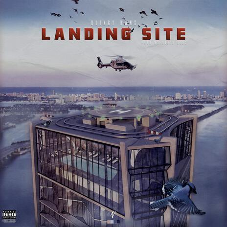 Landing Site | Boomplay Music