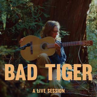 Bad Tiger: Forest Session (Acoustic Live Version)