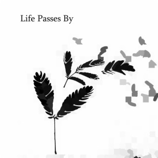 Life Passes By