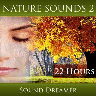 Nature Sounds 2 (22 Hours)