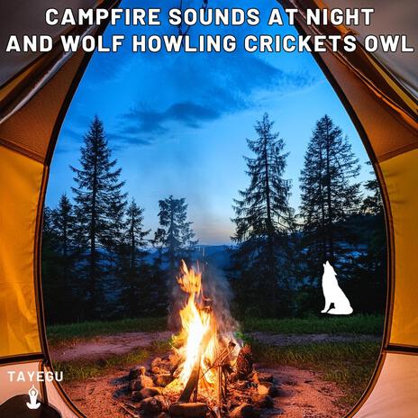 Campfire Sounds at Night and Wolf Howling Crickets Owl Forest Camping 1 Hour Relaxing Nature Ambient Yoga Meditation Sounds For Sleeping Relaxation or Studying | Boomplay Music