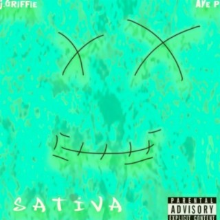 Sativa