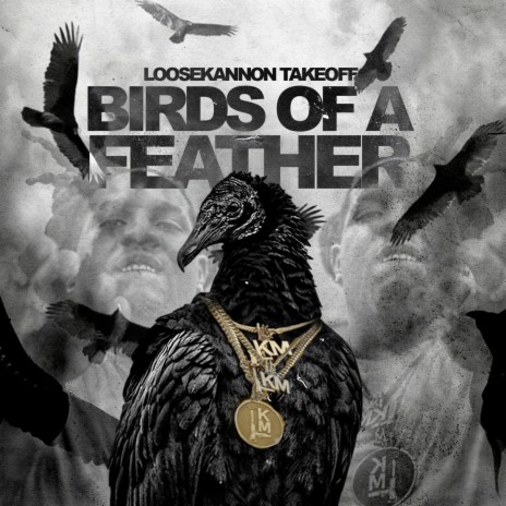 Birds of a Feather | Boomplay Music