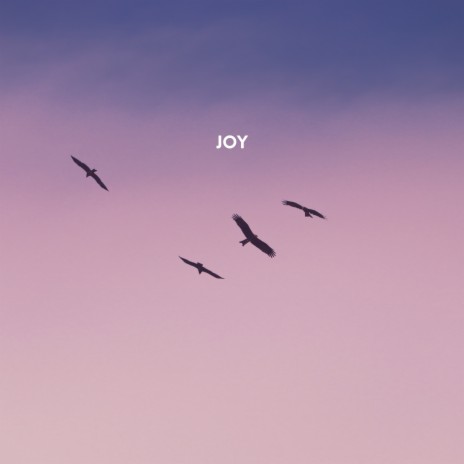 Joy | Boomplay Music