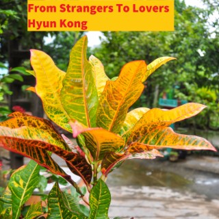 From Strangers To Lovers