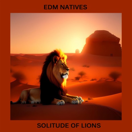 Solitude Of Lions