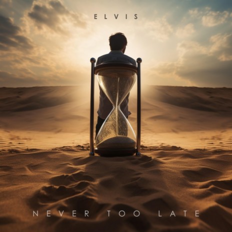 Never Too Late | Boomplay Music
