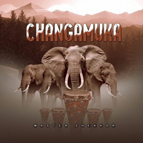 Changamuka | Boomplay Music