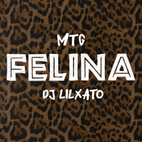 Mtg Felina (Remix) | Boomplay Music