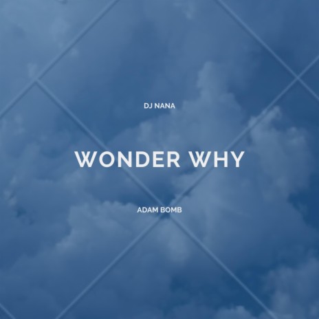Wonder Why (feat. Adam Bomb) | Boomplay Music
