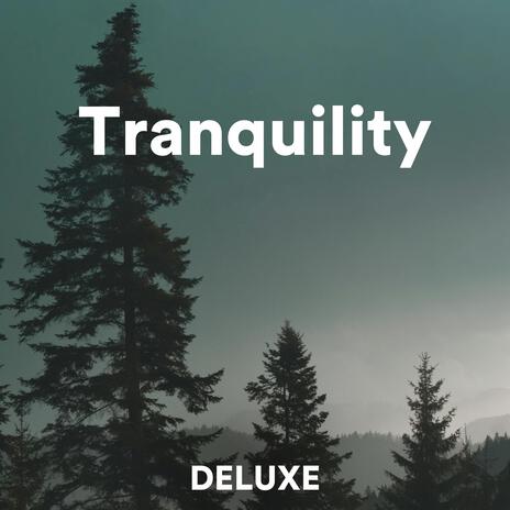 Tranquility | Boomplay Music