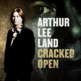 Arthur Lee Land