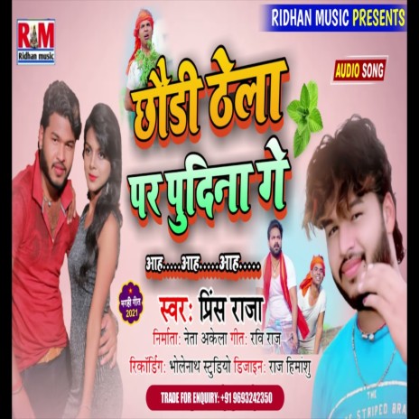 Chhaudi Thela Par Pudina Ge | Boomplay Music