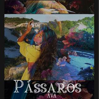 Pássaros lyrics | Boomplay Music