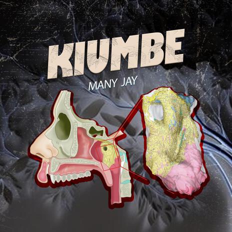 Kiumbe | Boomplay Music