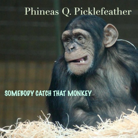 Somebody Catch That Monkey | Boomplay Music