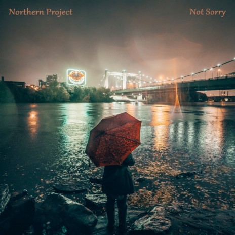 Not Sorry (D.A.Scott Remix)