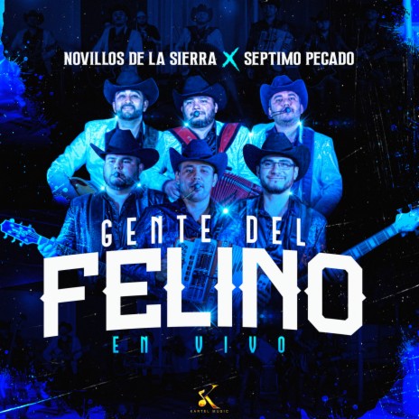 Gente del Felino (En Vivo) ft. Septimo Pecado | Boomplay Music