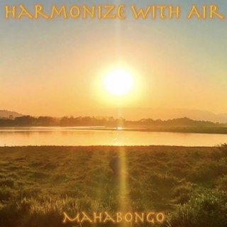 Harmonize With Air