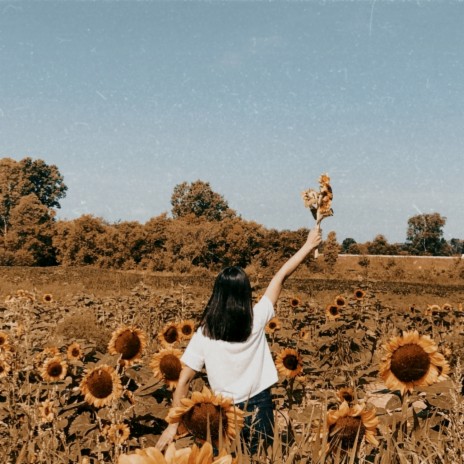 Sunflower | Boomplay Music