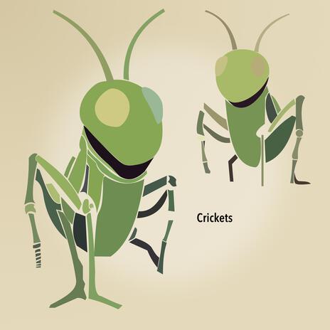 Crickets | Boomplay Music