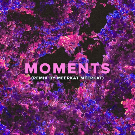 Moments (Meerkat Meerkat Remix) | Boomplay Music