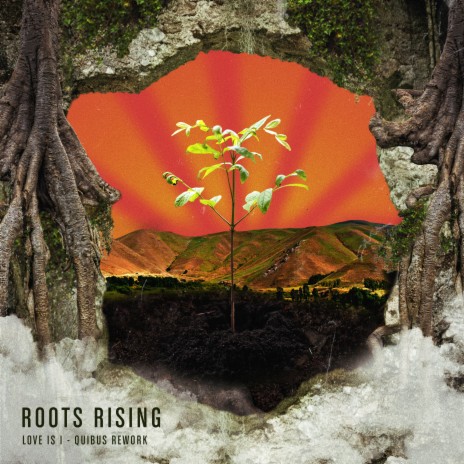 Love is I (Quibus Rework) ft. Roots Rising | Boomplay Music