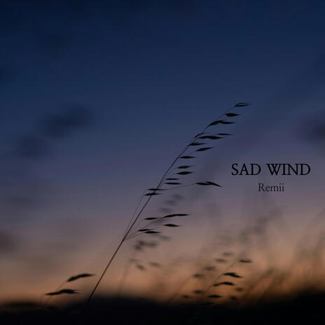 Sad Wind | Boomplay Music