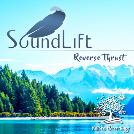 Reverse Thrust | Boomplay Music