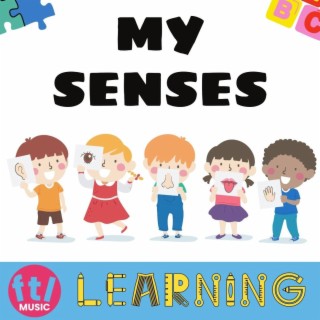 My Senses (Learn)