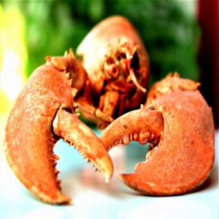 Lobster Served