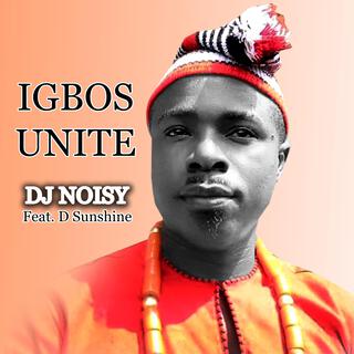 Igbo's Unite (feat. D Sunshine)