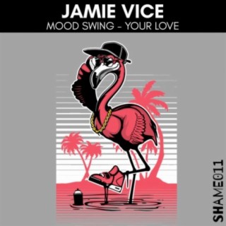 Jamie Vice