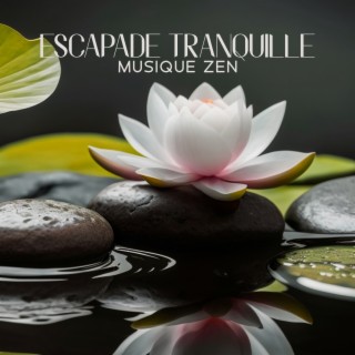 Escapade tranquille: Musique Zen pour le bien-être SPA, Débit de la rivière asiatique, Détente totale