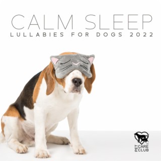 Calm Sleep Lullabies for Dogs 2022