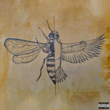 Birds and the Bees | Boomplay Music